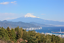 「日本平より臨む富士山」
