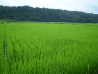 070707-2blog.JPG