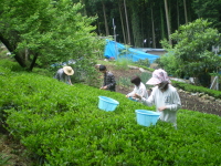 080504blog0000.JPG