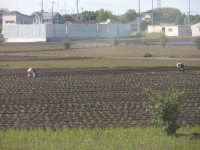 100602blog0.JPG