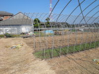 111106blog.JPG