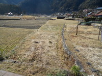 120223blog.jpg