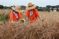 140818blog.JPG