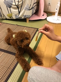 170916w1.JPG